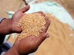 Maharashtra News: कोरोना पाबंदियां हटने  के बाद भी नहीं खुली आंगनबाड़ियां, सरकार से कर रहे ये अपील