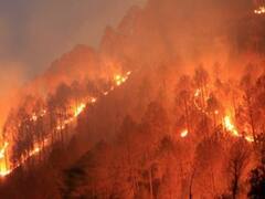 पिछले दो दशकों में जंगल में आग लगने की घटनाओं में हुआ काफी इजाफा, इन राज्यों में जंगल की आग का सबसे अधिक खतरा