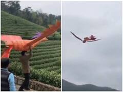 Viral Video: पक्षी ने बेजान पंखों की मदद से भरी उड़ान, वीडियो सोशल मीडिया पर हो रहा वायरल