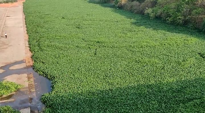 नाशिकच्या गोदावरी नदीला धार्मिक आणि अध्यात्मिक असे विशेष महत्व आहे. या पवित्र नदीत स्नान केल्याने पुण्य मिळते अशी भावना असल्याने महाराष्ट्रासह परराज्यातून भाविक इथे स्नानासाठी येत असतात. मात्र सध्या याच गोदावरीची प्रशासनाच्या अनास्थेमुळे वाईट अवस्था झाली आहे.