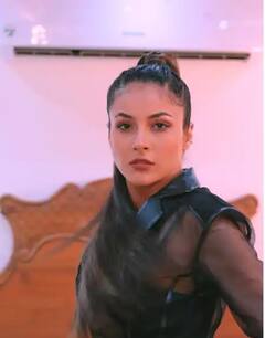 વેસ્ટર્ન આઉટફિટ્સના દરેક અવતારમાં કુલ લાગે છે શહનાઝ ગિલની સુપર કુલ હેરસ્ટાઈલ