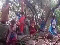 AP Mining : జీడి చెట్లకు మైనింగ్ గండం - ఉరి వేసుకుంటామని గిరిజనుల హెచ్చరిక !