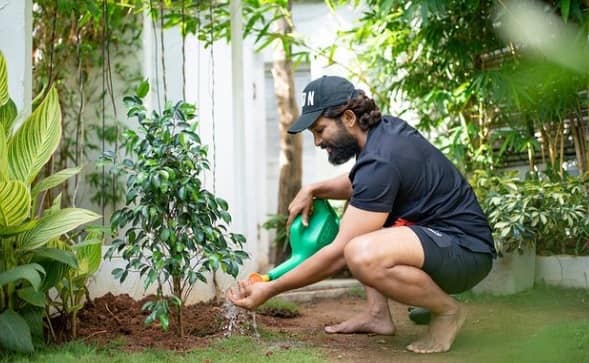 অভিনয়, নাচের পাশাপাশি নিজের ছবিতে গানও গেয়েছেন আল্লু অর্জুন। তাঁর গানে পারদর্শীতা দেখে চমক লাগে সঙ্গীত পরিচালকদের।