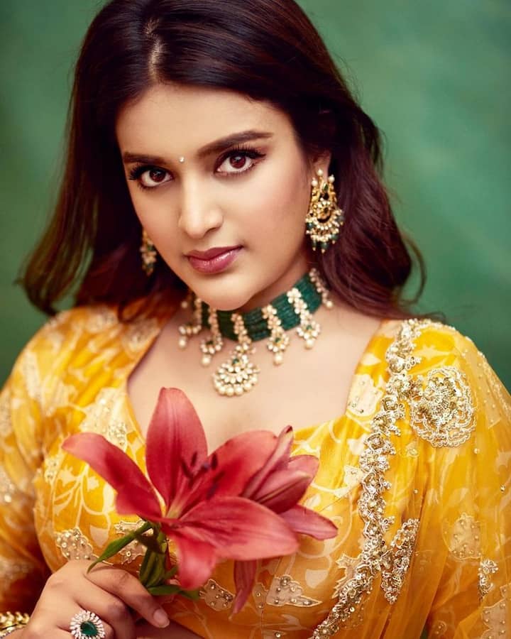 పవన్ కళ్యాణ్ సినిమా కావడంతో ఈ సినిమాపై హోప్స్ పెట్టుకుంది నిధి అగర్వాల్. (Courtesy : Nidhi Agerwal Instagram)