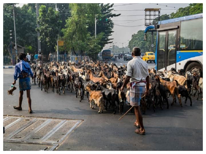 Bengaluru Civic Body Bans Animal Slaughter, Meat Sale On Ram Navami Bengaluru Civic Body Bans Animal Slaughter, Meat Sale On Ram Navami Bengaluru Civic Body Bans Animal Slaughter, Meat Sale On Ram Navami