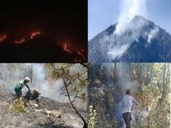 Uttarakhand News: वन विभाग के लिए जंगल की आग बुझाना बना चुनौती, अब तक 332.82 हेक्टेयर वन क्षेत्र प्रभावित