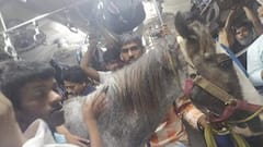 Horse In Local Train: ভিড়ে ঠাসা ডায়মন্ডহারবার লোকালে উঠল ঘোড়াও! গ্রেফতার মালিক।Bangla News