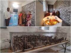 Durg News: दुर्ग में मुर्गी पालन की तुलना में बटेर पालन बना फायदे का सौदा, जानिए कैसे तीन गुना ज्यादा मुनाफा कमा रहीं महिलाएं