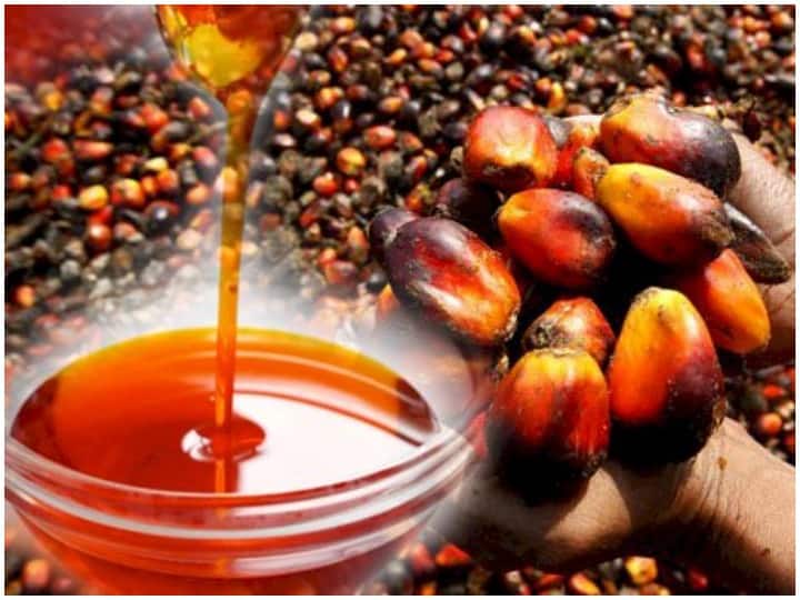 What Is Indonesia Palm Oil Crisis And What Is Main Reason For This Crisis And Impact On India - Daily World News