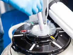 Lab Grown Sperm: చర్మ కణాల నుంచి స్పెర్మ్‌ - ఎలుకలపై ప్రయోగం సక్సెస్‌