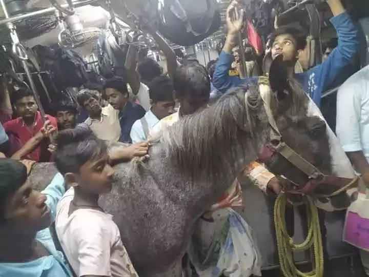 घोड़े को साथ लेकर ट्रेन में सफर करने वाला शख्स गिरफ्तार, रेलवे एक्ट के तहत मामला दर्ज