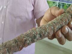 Rajasthan: शहद की तरह एक छोटे कीट से बनती है लाख की चूड़ियां, जानें चौंकाने वाली जानकारी