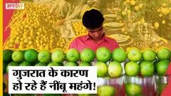 Petrol-Diesel और Palm Oil के दामों के बाद अब नींबू के दाम छू रहे आसमान! Lemon Price Hike |