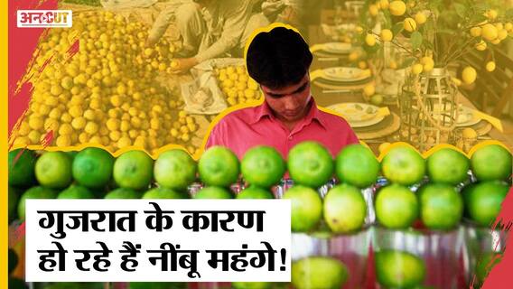 Petrol-Diesel और Palm Oil के दामों के बाद अब नींबू के दाम छू रहे आसमान! Lemon Price Hike |