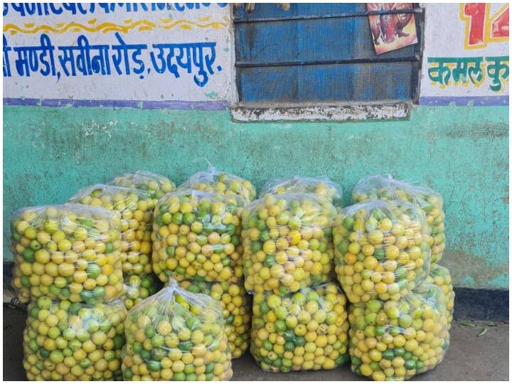 Udaipur Lemon Price suddenly decreased by 100 Rs per kg in Savina Mandi  ANN Udaipur Lemon Price: बढ़ते दामों के बीच यहां बेहद कम कीमत में मिल रहे नींबू, जानें कितनी है कीमत