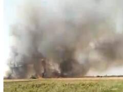 Mainpuri News: मैनपुरी में आग लगने से सैकड़ों बीघा गेहूं की फसल जलकर राख, प्रशासन ने कही ये बात