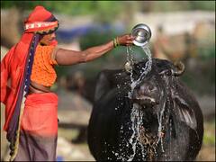 दिल्ली में लू और भीषण गर्मी का सितम अगले कुछ दिनों तक रह सकता है जारी