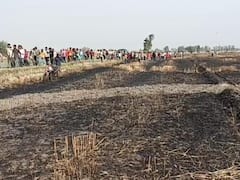 Pilibhit News: पीलीभीत में गेहूं की फसल में लगी आग, दो किसानों की फसल जलकर हुई राख