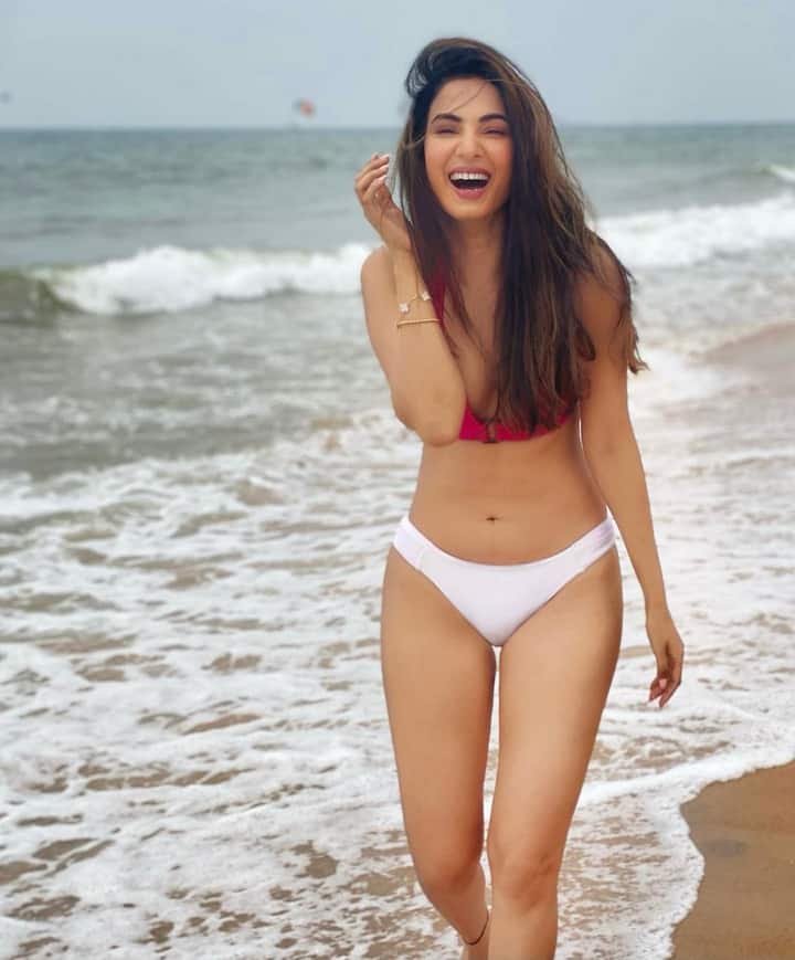 తెలుగులో ఈ బ్యూటీ అనుకున్న రేంజ్ లో సక్సెస్ ను అందుకోలేకపోయింది.(Image Courtesy: Sonal Chouhan Instagram)