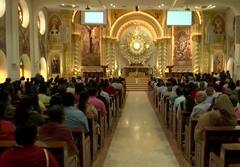 IN PICS | Devotees From Tamil Nadu, Kerala Offer Prayers On The Occasion Of Palm Sunday