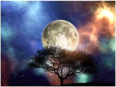 Chaitra Purnima 2022: चैत्र पूर्णिमा कब है? नोट कर लें तिथि, शुभ मुहूर्त, पूजन विधि और महत्व