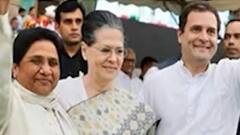 Rahul के वार पर माया'वी' पलटवार, कहा- अपने साथ सबको डुबाया ! UP News | BSP vs Congress