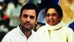 Mayawati ने Rahul Gandhi को दिया करारा जवाब, बोलीं- 'डूबते जहाज की क्यों करूं सवारी'