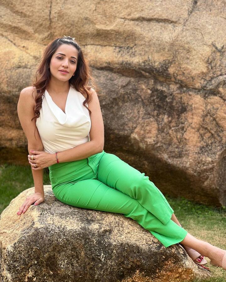 इन तस्वीरों में मोनालिसा ने व्हाइट क्रॉप टॉप के साथ ग्रीन हाई वेस्ट पेंट्स पहनी हुई हैं. साथ ही खुले बालों के साथ अपने लुक को कंप्लीट किया है.
