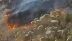 Uttarakhand : पहाड़ पर जंगल में धधक रही आग ! | Hindi News