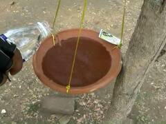 PHOTO : गोंदियात पक्षांसाठी मातीचे थंडगार पाणवठे, सायकल संडे ग्रुपचा पुढाकार