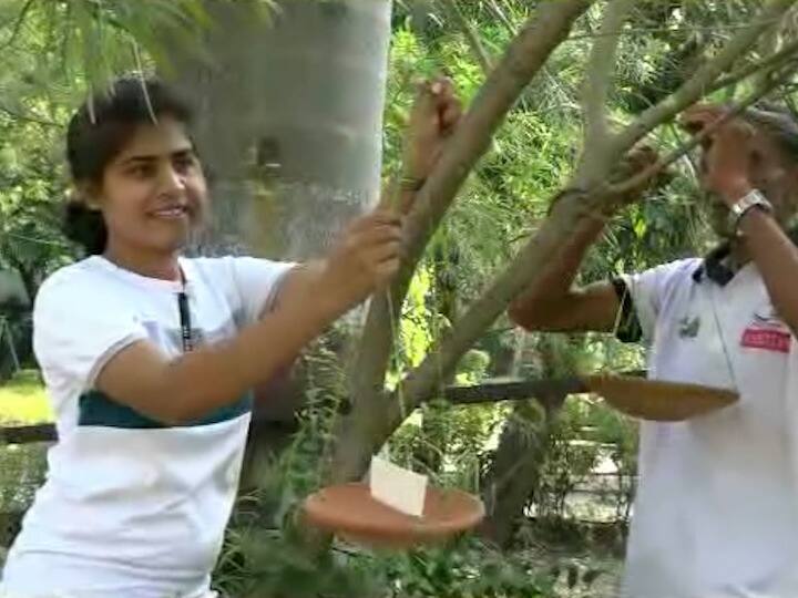 परिणामी शहरातील नैसर्गिक पाणवठे आटतात. त्यामुळे पक्षी शहराकडे धाव घेत असल्याचं दिसतंय.