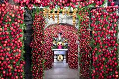 Ram Navami : रामनवमीनिमित्त विठ्ठल मंदिराचा गाभारा बनला काश्मिरी सफरचंदाचा बगिचा; आकर्षक सजावट