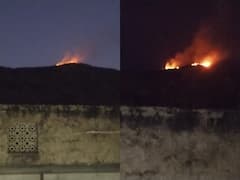 Rajasthan News: अलवर के सरिस्का बफर जोन में फिर लगी आग, जानवरों की जान पर मंडरा रहा खतरा