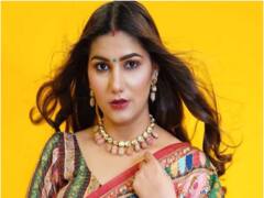 सपना चौधरी की लाखों में है कमाई, 2-3 घंटे की फीस जानकर उड़ जाएंगे आपके होश!