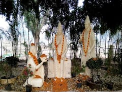 भगवान राम ने वनवास काल में की 2260 किलोमीटर की यात्रा, अब इन इलाकों में पर्यटन तीर्थ विकसित करेगी छत्तीसगढ़ सरकार