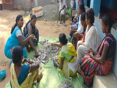 Chhattisgarh News: मछली पालन कर महिलाओं ने कमाया 60 हजार का मुनाफा, ऐसे मिला लाभ