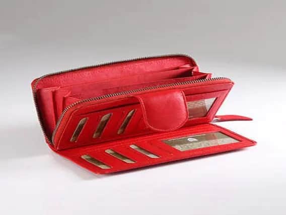 Astrology Tips: The blessings of Mother Lakshmi will always be on the purse, choose the color according to the zodiac