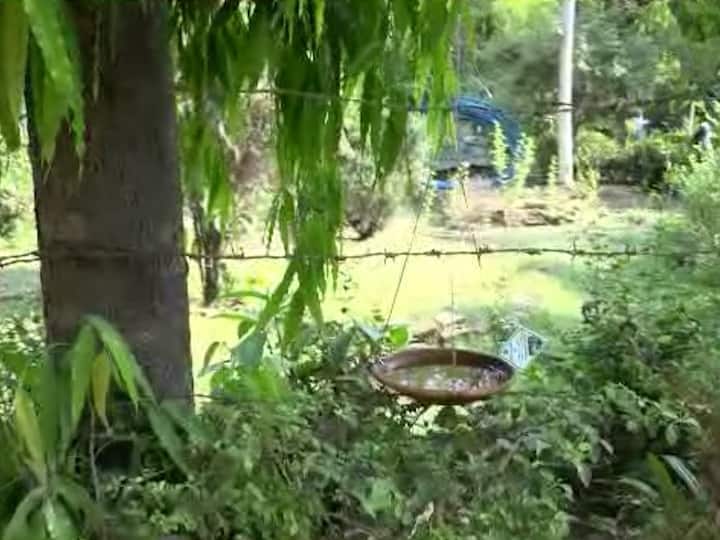 त्यामुळे तुम्ही देखील आपल्या घरासमोरील झाडावर किंवा छतावर एका मातीच्या भांड्यात पाणी ठेवून पक्ष्यांचे पाण्याअभावी होणारे मृत्यू टाळण्यास मदत करा.