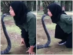 Viral Video: महिला ने किया विशालकाय सांप को किस, लोग बोले- ये तो पागलपन है