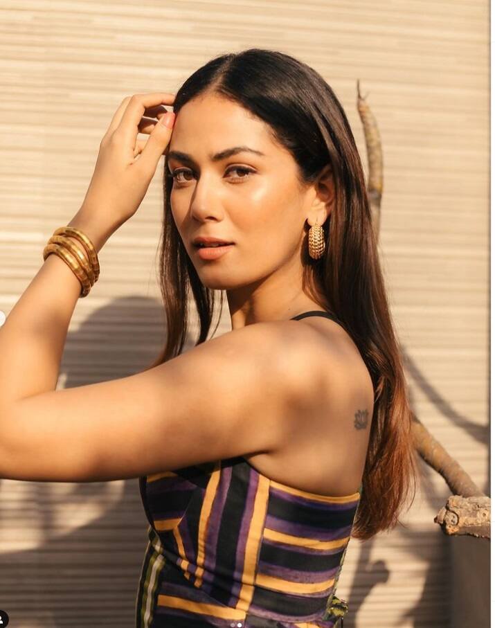 मीरा अक्सर इंस्टाग्राम पर फैंस के लिए कुछ ना कुछ पोस्ट शेयर करती रहती हैं जो काफी वायरल होते हैं. कभी मीरा फैंस को हेल्थ टिप्स देती हैं  तो कभी फिटनेस टिप्स.