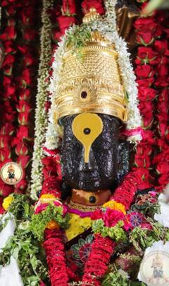 Ram Navami : रामनवमीनिमित्त विठ्ठल मंदिराचा गाभारा बनला काश्मिरी सफरचंदाचा बगिचा; आकर्षक सजावट