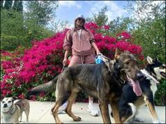 In PICS: बेहद हॉट अंदाज में अपने Dogs के साथ घर से बाहर निकलीं प्रियंका चोपड़ा, शेयर कीं ये तस्वीरें