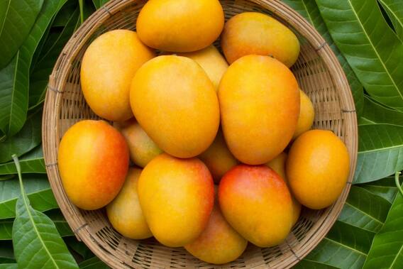 Summer Fruits: Consume these fruits throughout the summer, keep them hydrated and do not let them gain weight.