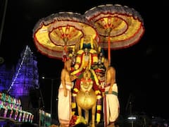 In Pics :  హంస వాహనంపై భక్తులకు దర్శనమిచ్చిన కోదండ రాముడు