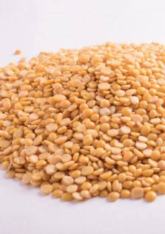 डाळ आयातीला मुदतवाढ, शेतकऱ्यांचे बुलढाण्यात आंदोलन