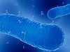 How Bacteria-Eating Viruses Can Save Millions Of Lives