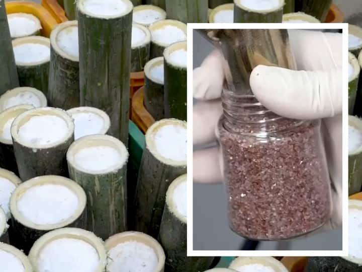 Korean Bamboo Salt  the World’s Most Expensive Salt Bamboo Salt: వెదురుతో ఉప్పు, పావు కిలో రూ.7,600 - దీని ప్రత్యేకత తెలిస్తే ఔరా అంటారు!