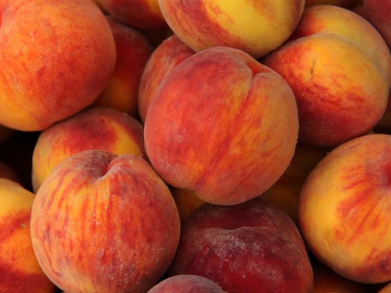 Summer Fruits: Consume these fruits throughout the summer, keep them hydrated and do not let them gain weight.