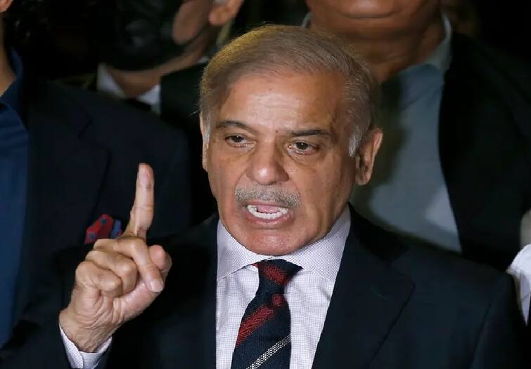 Shahbaz Sharif said that he wants good relations with India, but it cannot be achieved without the resolution of the Kashmir issue PAKISTAN : વડાપ્રધાન બન્યા પહેલા શાહબાઝે આપ્યું કાશ્મીર પર નિવેદન, જાણો શું કહ્યું