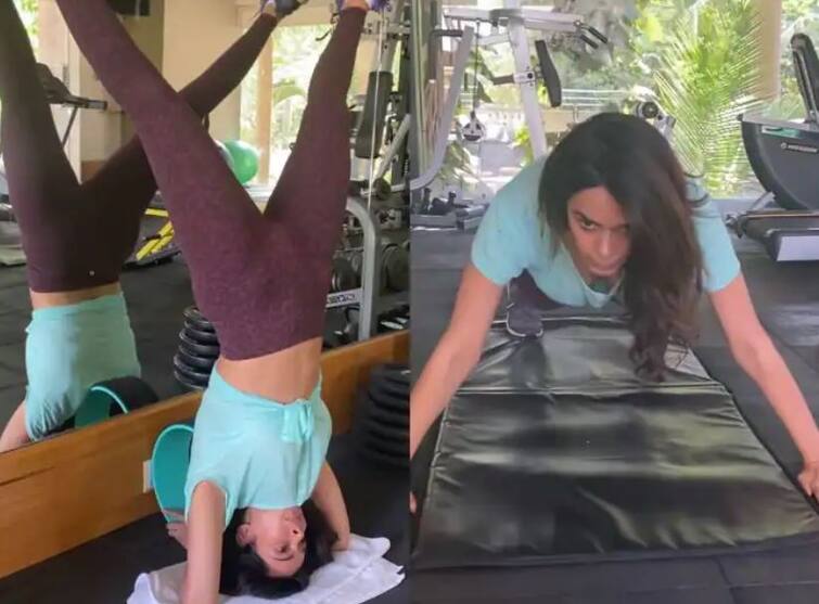 mallika sherawat new yoga video goes viral  fans call her fitness queen  વધતા વજનને યોગાસન કરી મેન્ટેન રાખે છે મલ્લિકા શેરાવત, વર્કઆઉટનો વીડિયો શેર કર્યો
